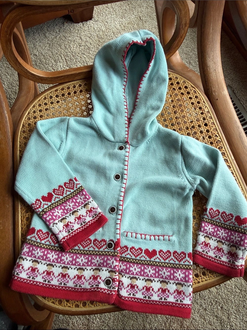 Vintage 2006 Janie and Jack Hooded Cardigan Sweater